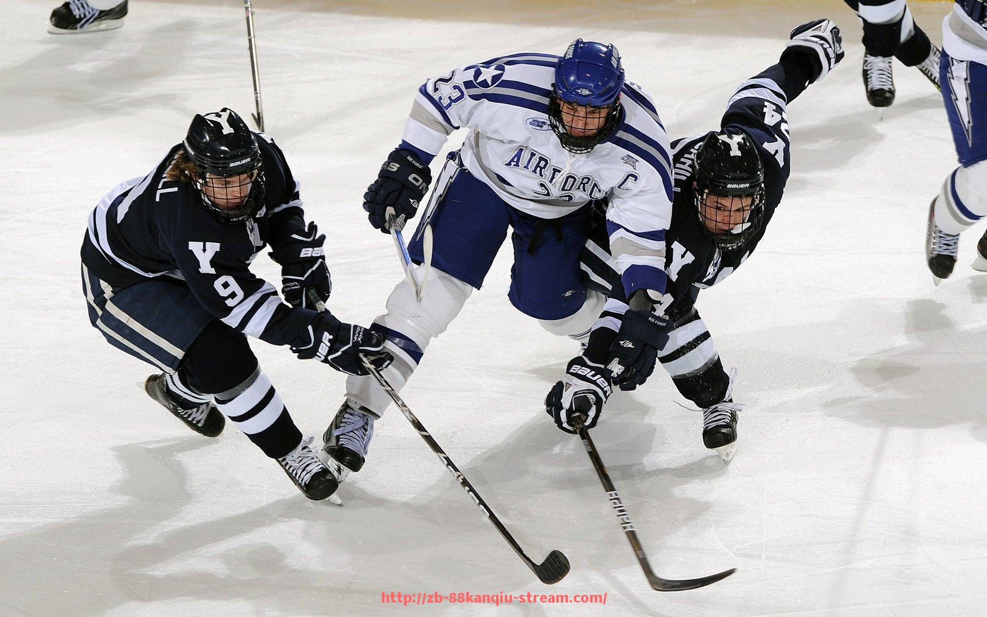 88看球网-曼城世俱杯大连球迷热议话题及赛事关注度调查
